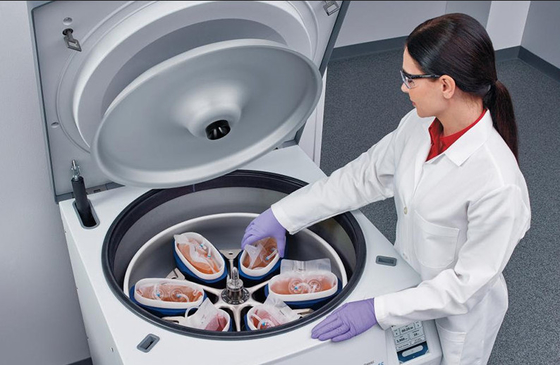 Bom preço. Centrifugador refrigerado 6×1000ml 6000rpm do sangue do assoalho de CFL6R saco ereto on-line